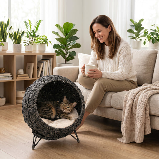 PawHut Rattan Cat Bed, Elevated Handwoven Cat Basket Bed with Soft Cushion and Metal Base