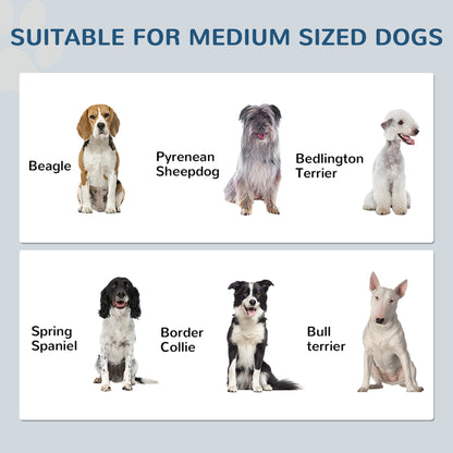 PawHut Pet Feeding Station for Medium Dogs, White, with Storage, Raised Bowls, Adjustable Panel, Hooks | Aosom.com
