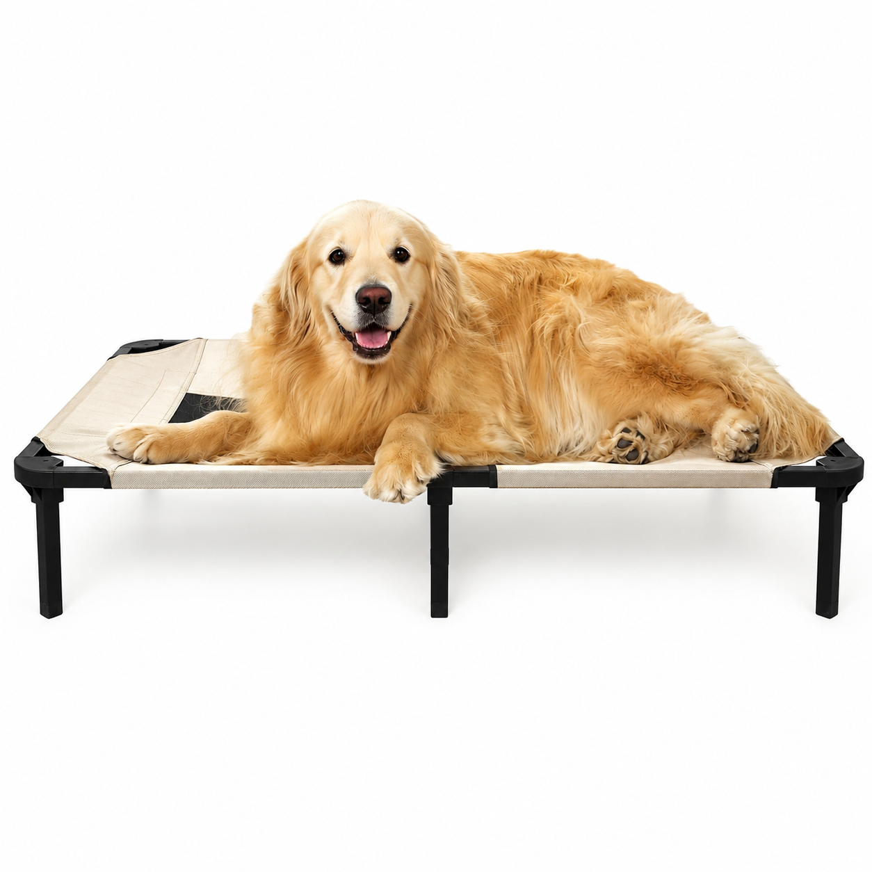 Elevated Outdoor Pet Bed