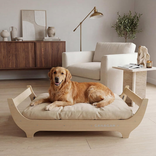 Minimalist wood dog bed