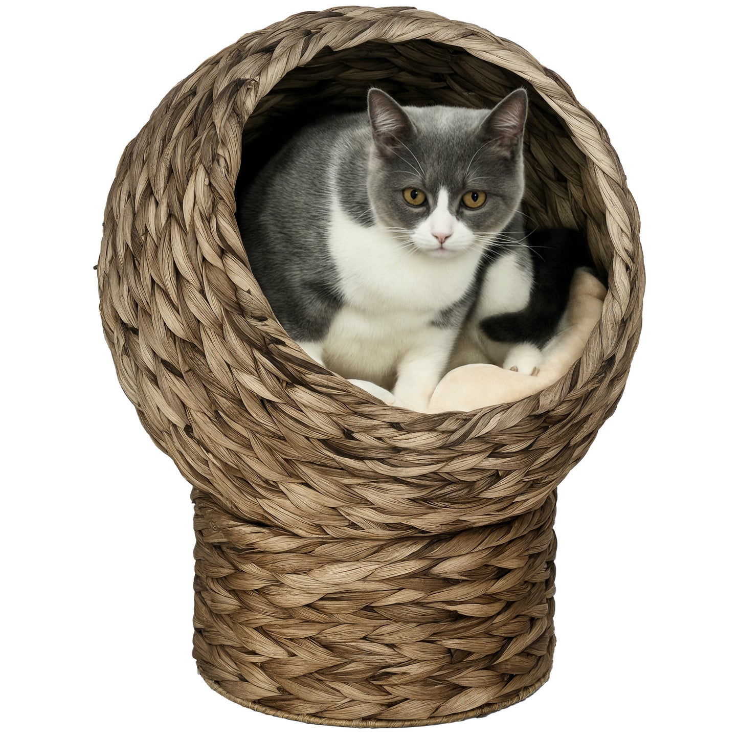PawHut 20" Natural Braided Elevated Cat Bed, Cat Basket Kitten House Chair Sofa With Cushion, Dark Brown